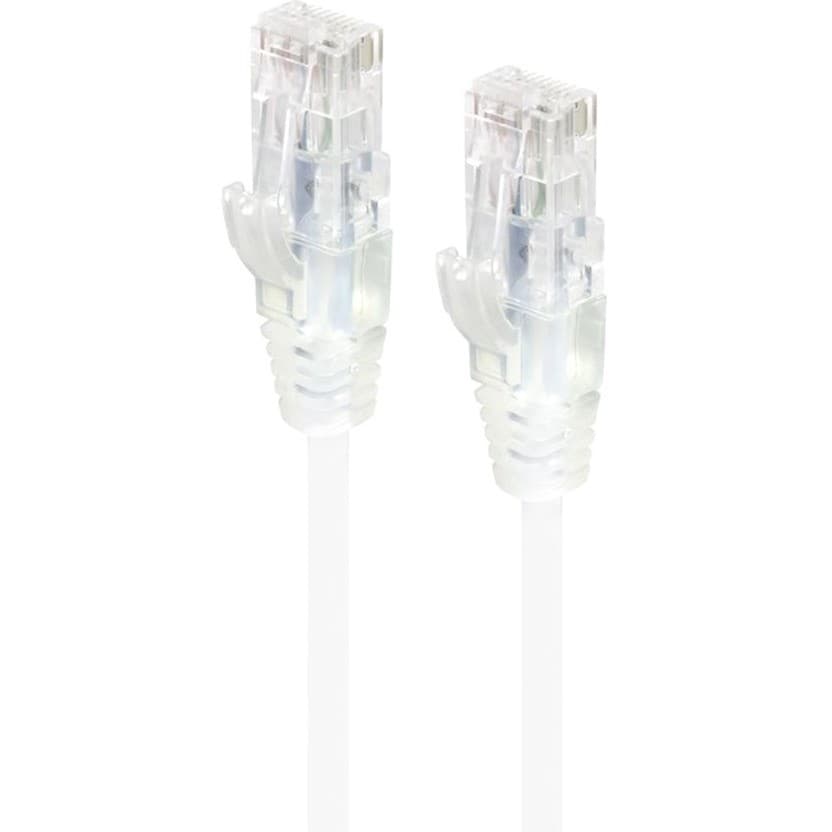 Alogic Alpha 50 cm Category 6 Network Cable for Network Device