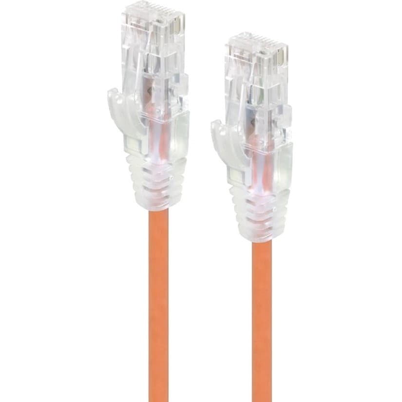 Alogic Alpha 5 m Category 6 Network Cable for Network Device